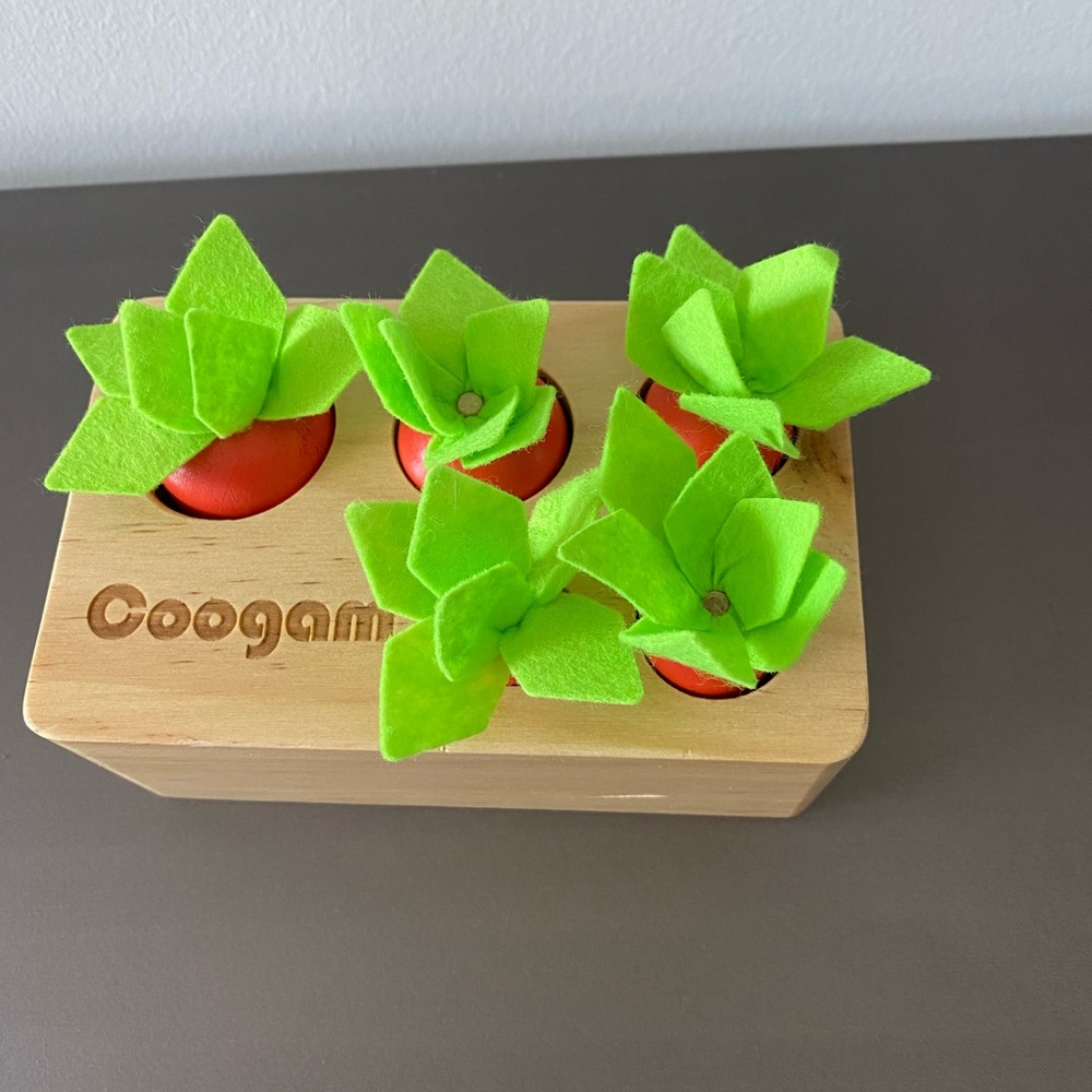 Montessori carrot toy